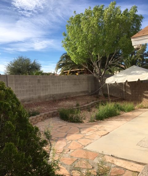 Backyard 2